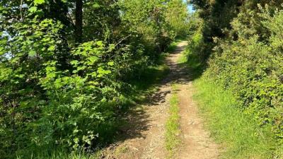 Views of the Hele Valley Trail