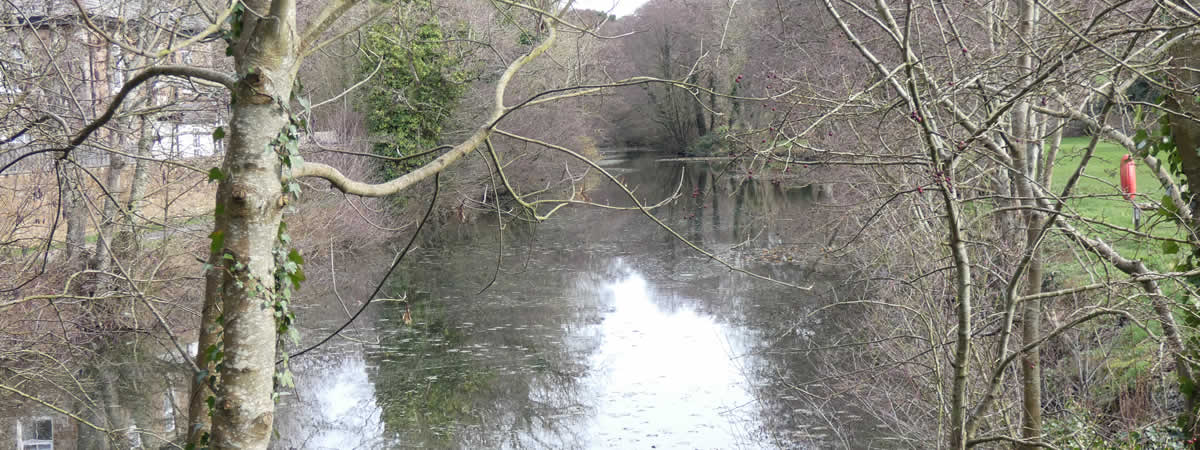 Views over the Bude Canal from Helebridge