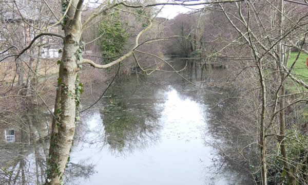 Bude Canal from Helebridge